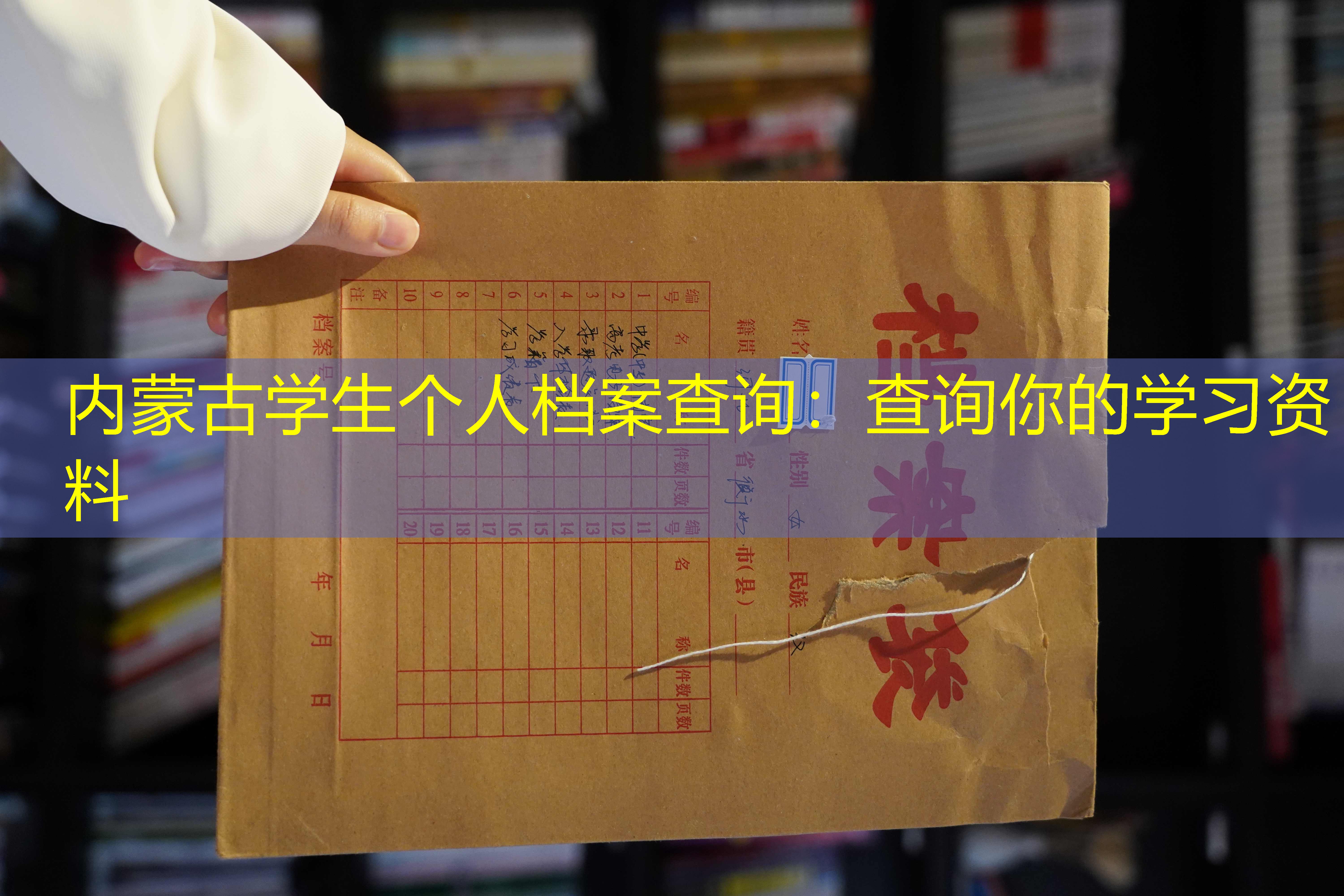 档案查询